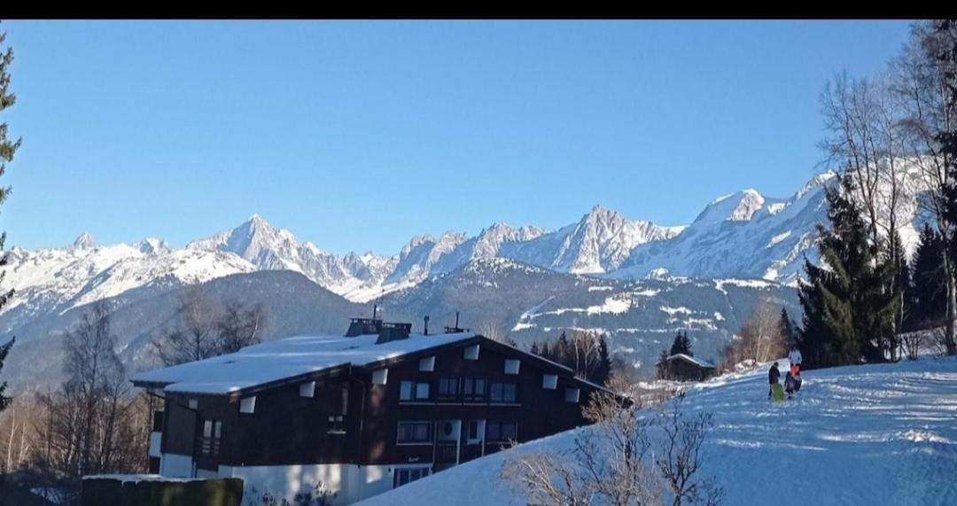 Studio Porte Du Mont Blanc Combloux Aux Pieds Des Pistes Zewnętrze zdjęcie